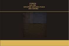 FORZA I02660