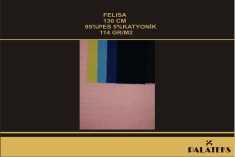 FELISA -
